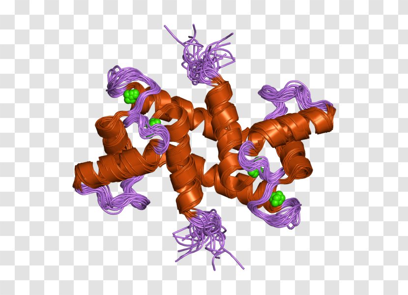 S100B S100 Protein S100A1 Amino Acid - Family - Ebi Transparent PNG