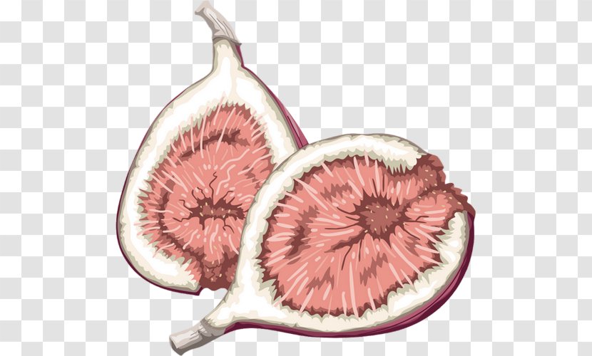 Fruit Food Common Fig Clip Art - Exotique Transparent PNG