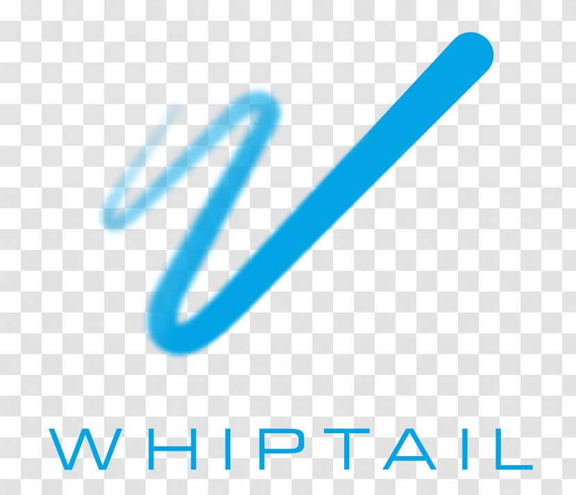 Whiptail SanDisk Flash Memory Technology Computer Data Storage Transparent PNG