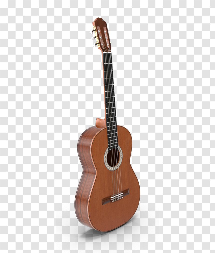 Acoustic Guitar Cuatro Tiple Ukulele - Template - Jam Session Transparent PNG