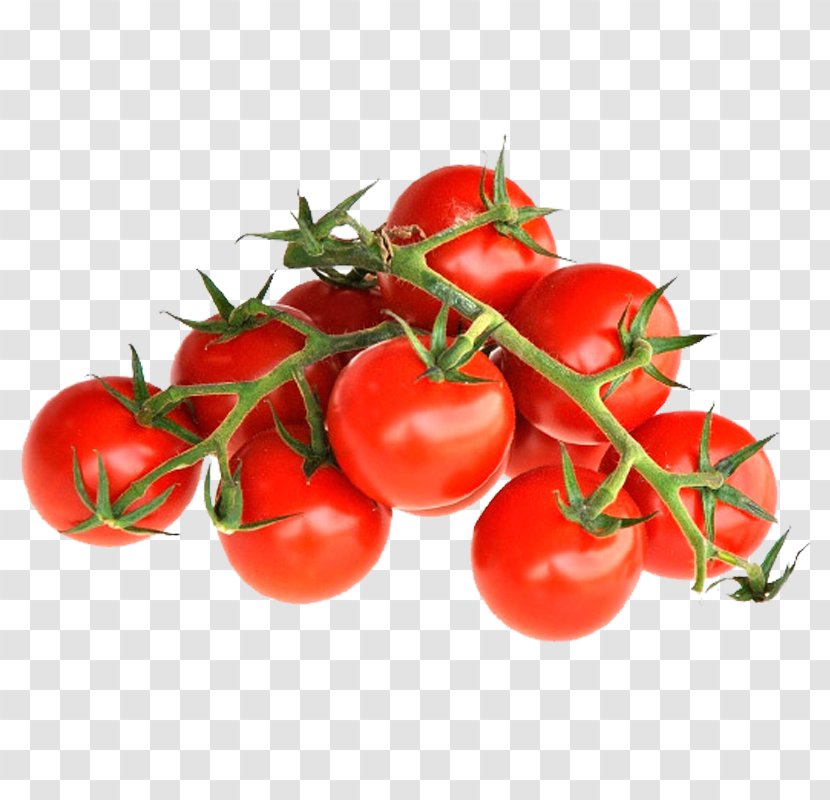 Plum Tomato Cherry Bush Cauliflower Transparent PNG