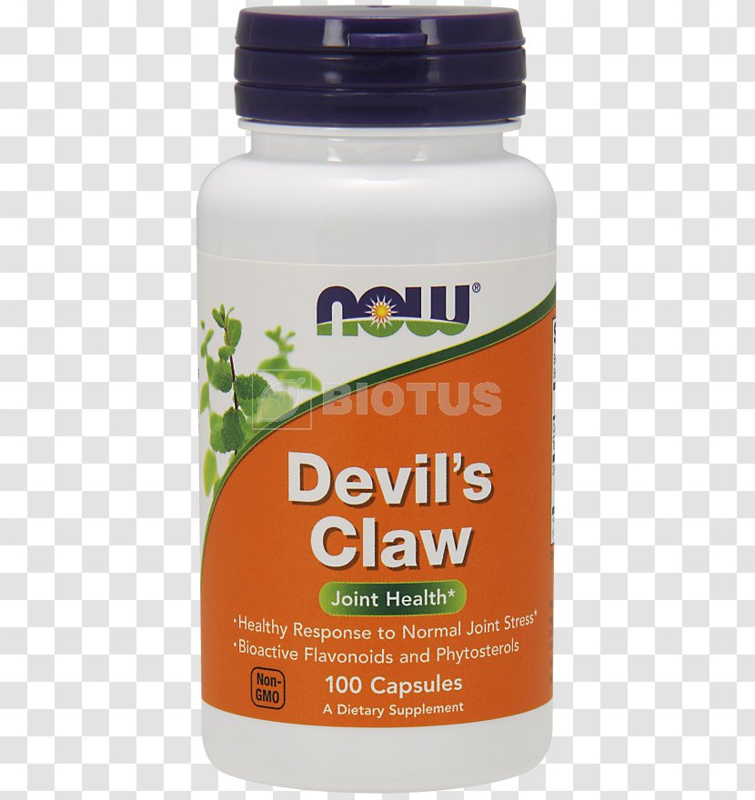 Dietary Supplement Cat's Claw NOW Foods Devil's - Devil Claws Transparent PNG