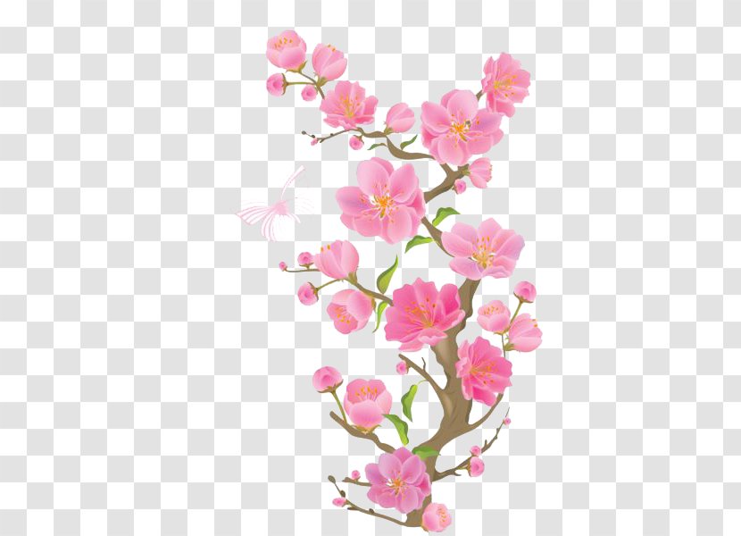 Cherry Blossom Clip Art - Pink Peach Transparent PNG