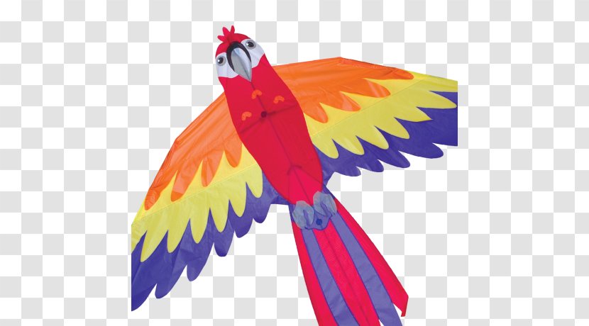 Macaw Parrot Bird Kite Beak Transparent PNG