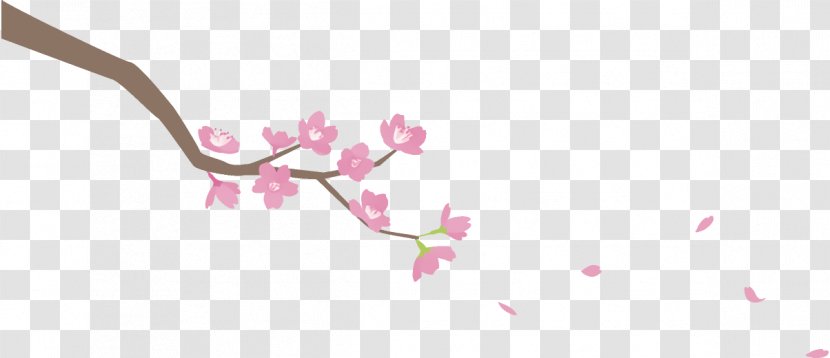 Cherry Blossom - Plant - Stem Petal Transparent PNG