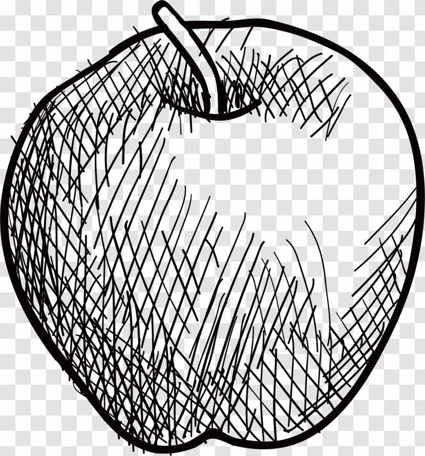 Drawing Apple - Text - Vector Sketch Transparent PNG