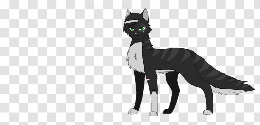 Whiskers Cat Dog Breed Fur - Black M - 1001 Night Transparent PNG