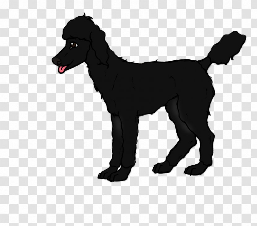 Dog Breed Puppy - Tail - Giant Poodle Temperament Transparent PNG
