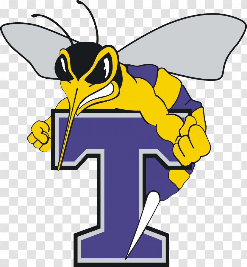 Florence–Darlington Technical College Florida Institute Of Technology Education Tech Panthers Women's Basketball - Membrane Winged Insect - United States Transparent PNG