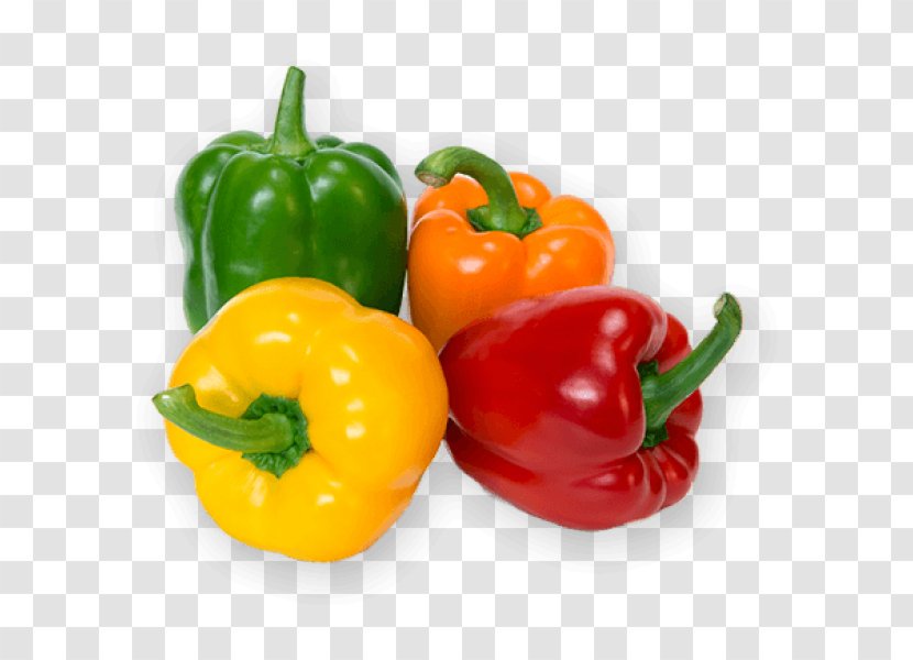 Bell Pepper Vegetable Chili Food Fruit - Superfood Transparent PNG