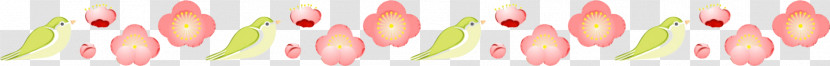 Pink Yellow Line Plant Flower Transparent PNG