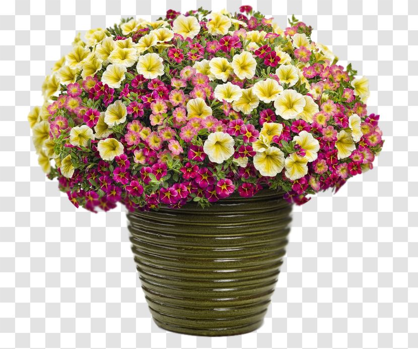 Container Garden Flowerpot Combination Calibrachoa - Plant Transparent PNG