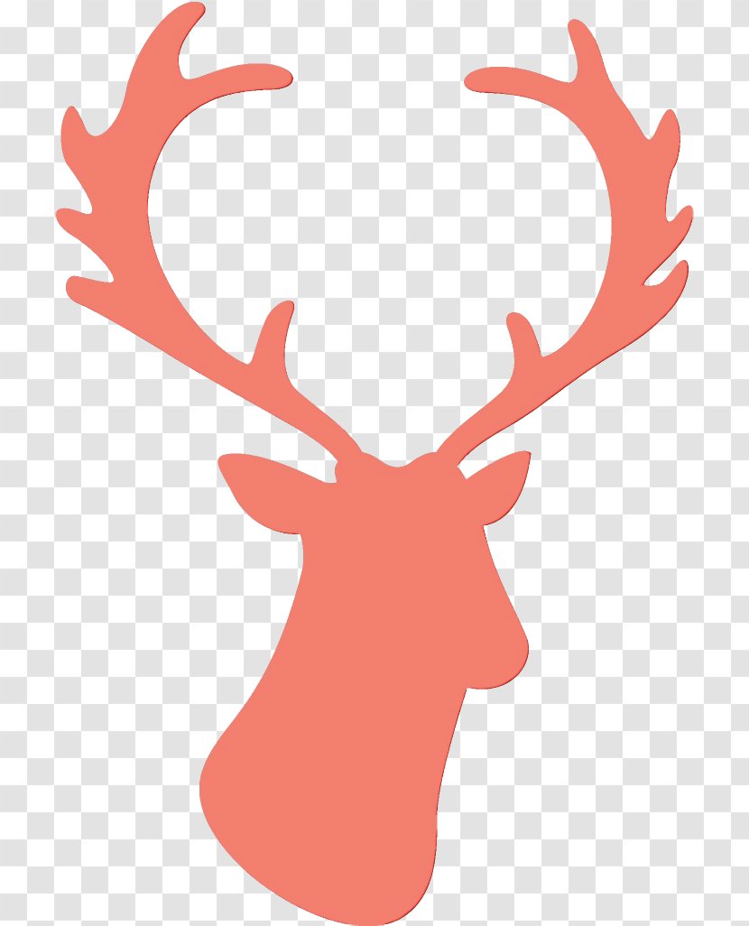 Reindeer - Elk - Antler Transparent PNG