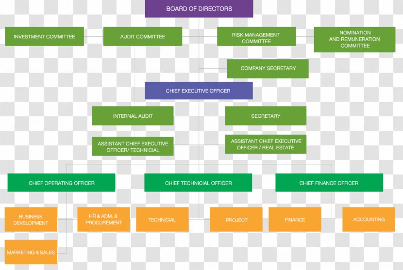 Organizational Chart Structure Business Public Company Transparent PNG