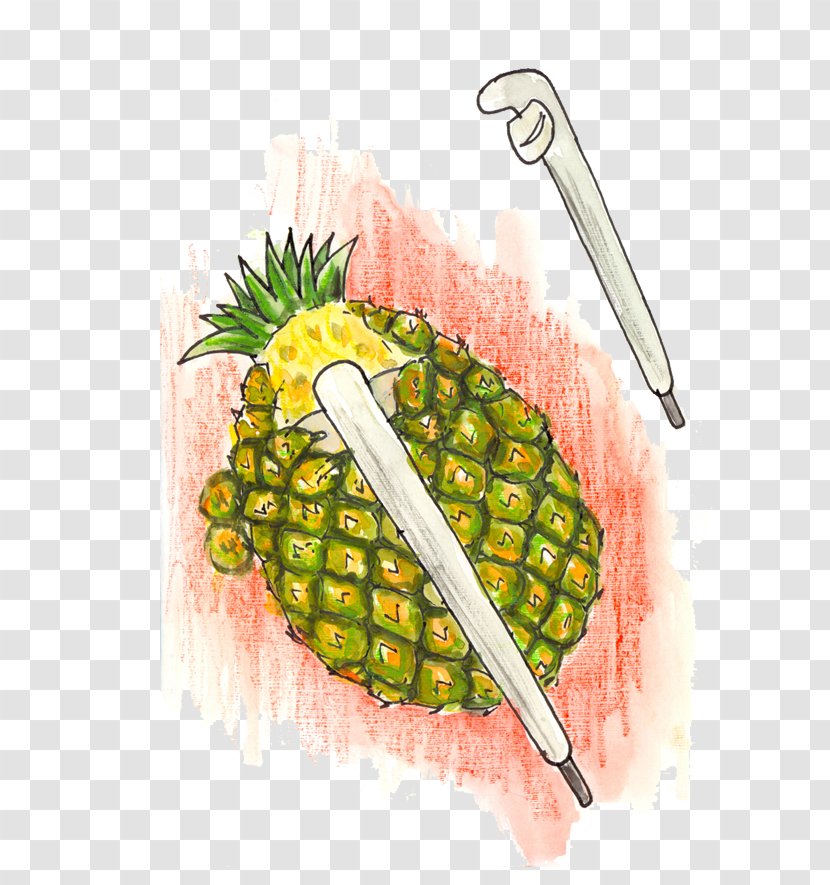 Peeler Pineapple Cutter Knife Transparent PNG