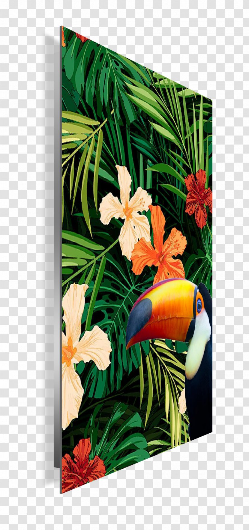 Floral Design Picture Frames Modern Art - Flora - Tropical Collection Transparent PNG