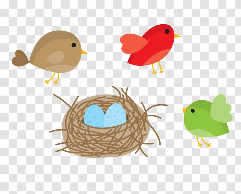 Bird Nest Domestic Canary Owl - Drawing - Cartoon Transparent PNG