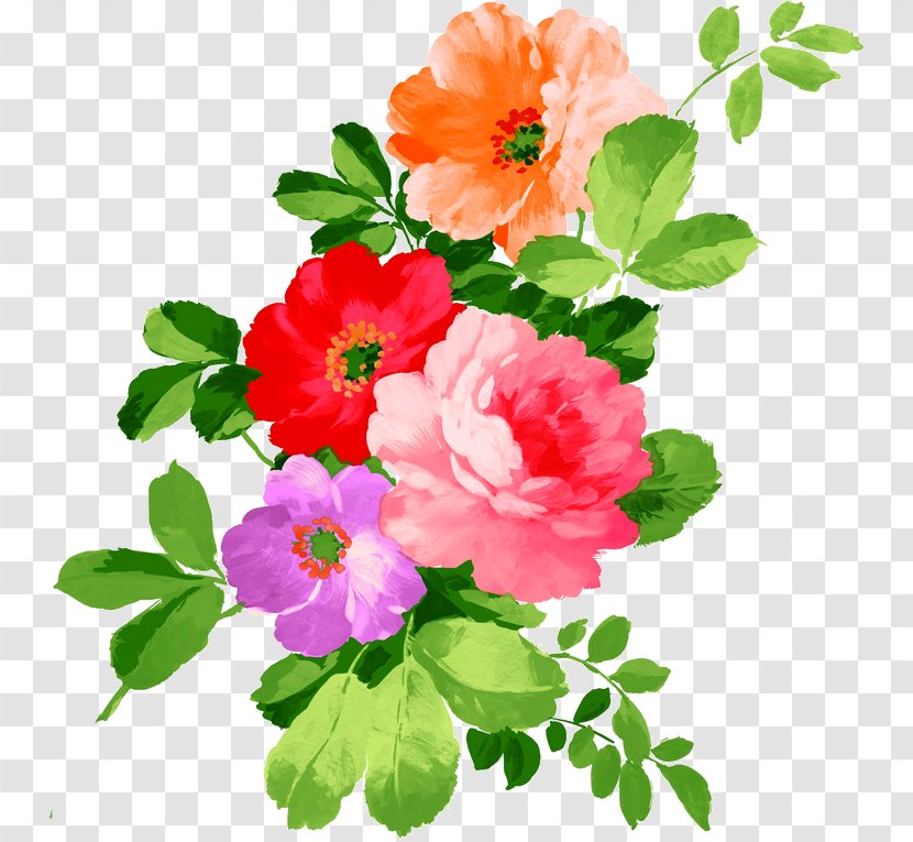 Watercolor Painting Paper Flower Drawing - Rose Family Transparent PNG