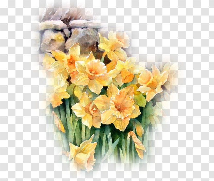 Watercolor: Flowers Loose Watercolor Painting Oil Paint - Narcissus Transparent PNG