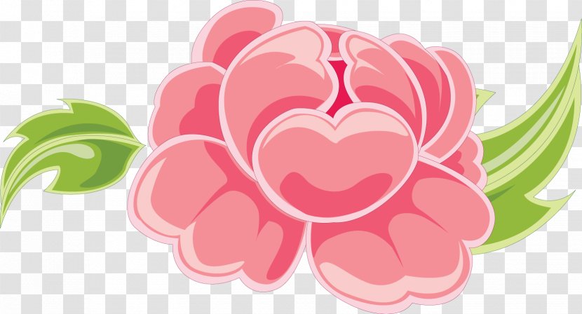 Pink Flower Drawing - Confederate Rose Transparent PNG