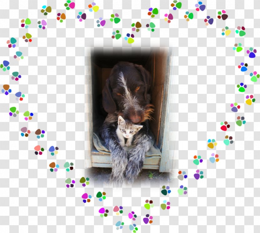 Dog - Puppy Love - Like Mammal Transparent PNG