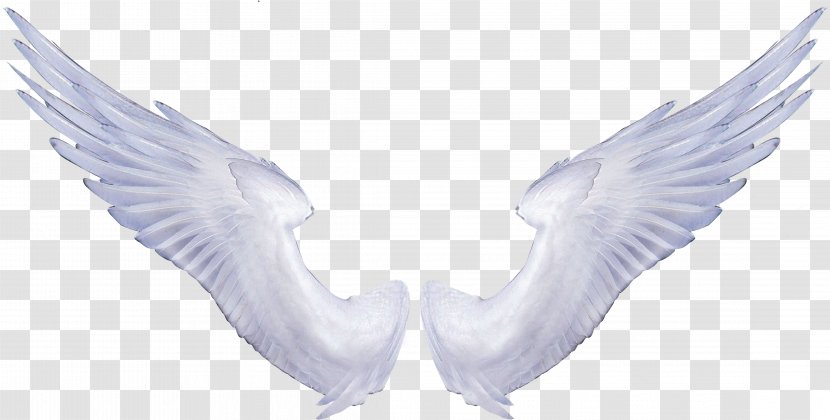 Angel Wings Drawing Clip Art - Stock Photography - Line Transparent PNG