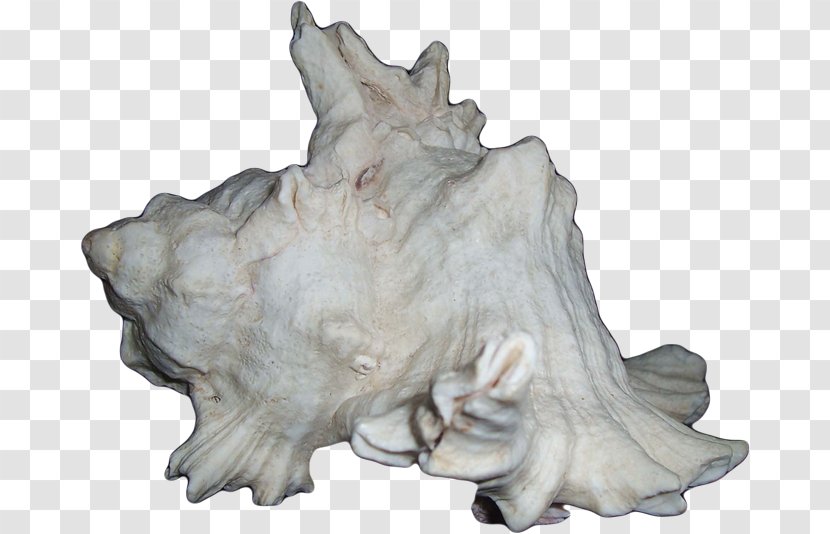 Sculpture Scrapbooking Advertising Figurine Conch - Liveinternet Transparent PNG