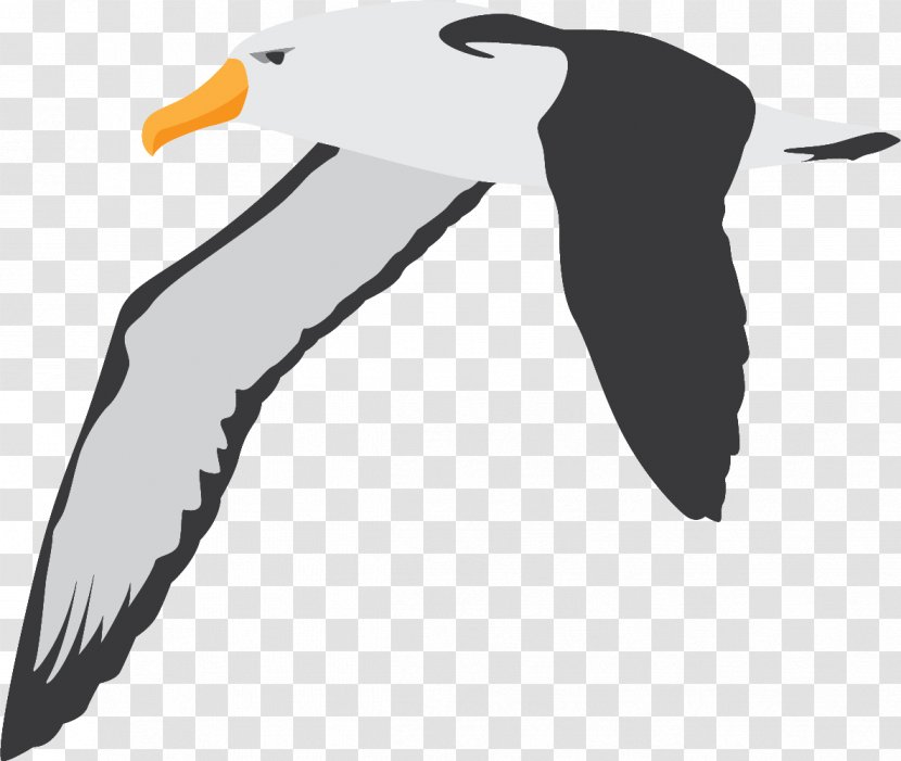 Swan Goose Flight Bird Penguin - Wild Flying Transparent PNG