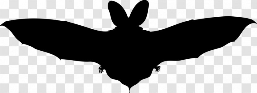 Bat Wing Clip Art Transparent PNG