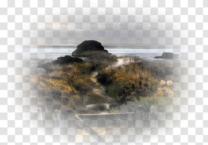 Painting Landscape Nature Shore Marine Art Transparent PNG