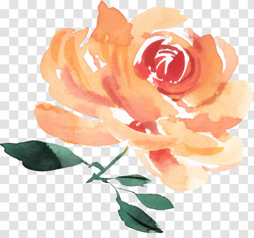 Garden Roses IPhone 8 X Flower Floral Design - Wedding Transparent PNG