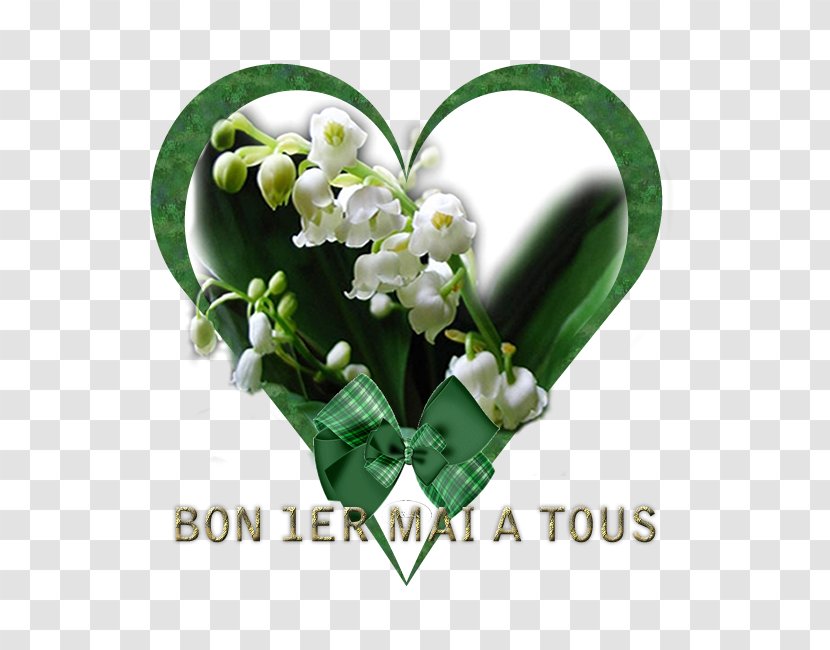 1 May Lily Of The Valley International Workers' Day Labour - Shih Tzus Transparent PNG