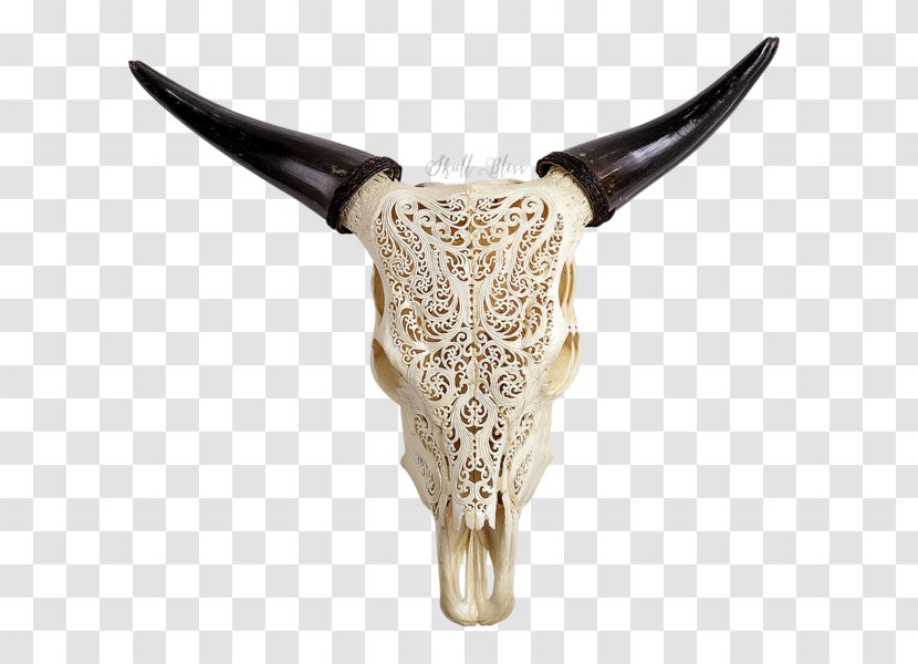 Animal Skulls Texas Longhorn Ox - Skull Transparent PNG