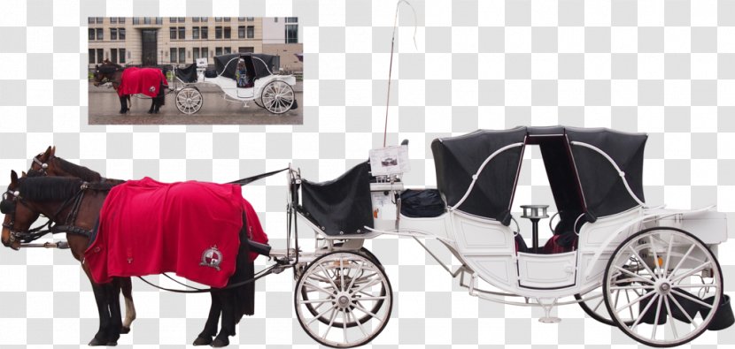 Carriage Horse And Buggy Cart Horse-drawn Vehicle Transparent PNG