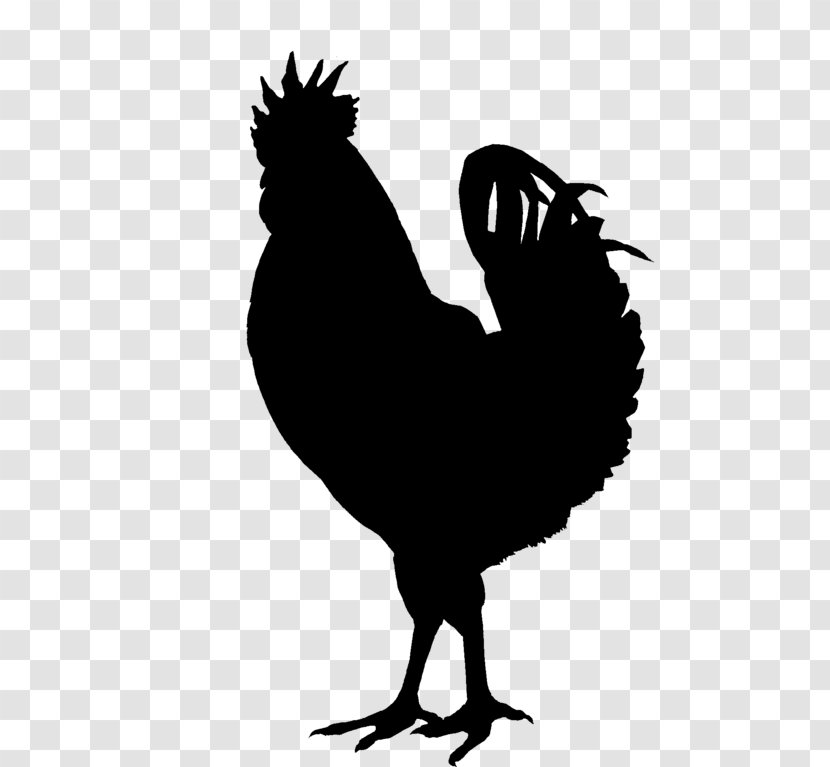 Silkie Rooster Silhouette Clip Art - Chicken Transparent PNG