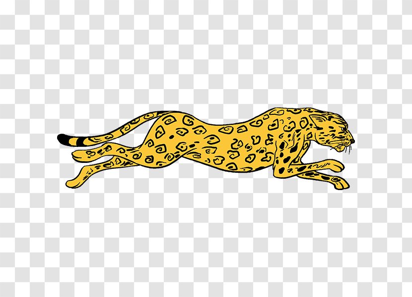 Cheetah Lion How To Draw Big Cats Drawing Transparent PNG