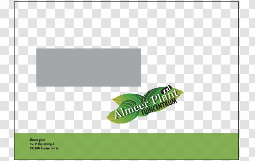 Logo Brand Product Design Green Font - Plant Transparent PNG