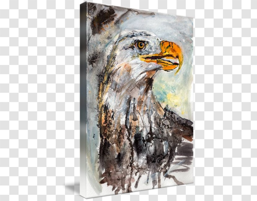 Bald Eagle Watercolor Painting Hawk - Cbse Exam 2018 Class 12 - Eagles Transparent PNG