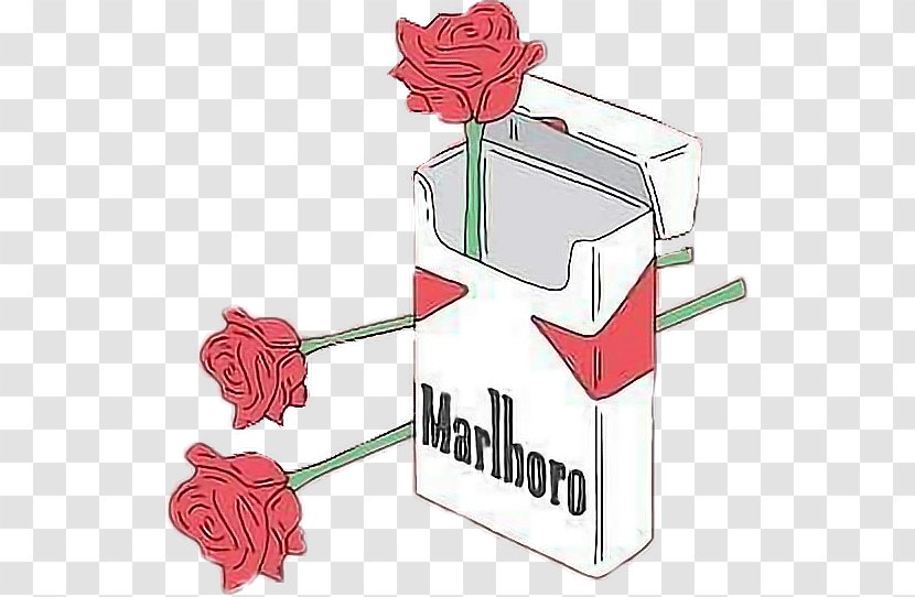 Marlboro Cigarettes, Black - 20 Cigarettes Black20 Rose ShirtCigarette Transparent PNG