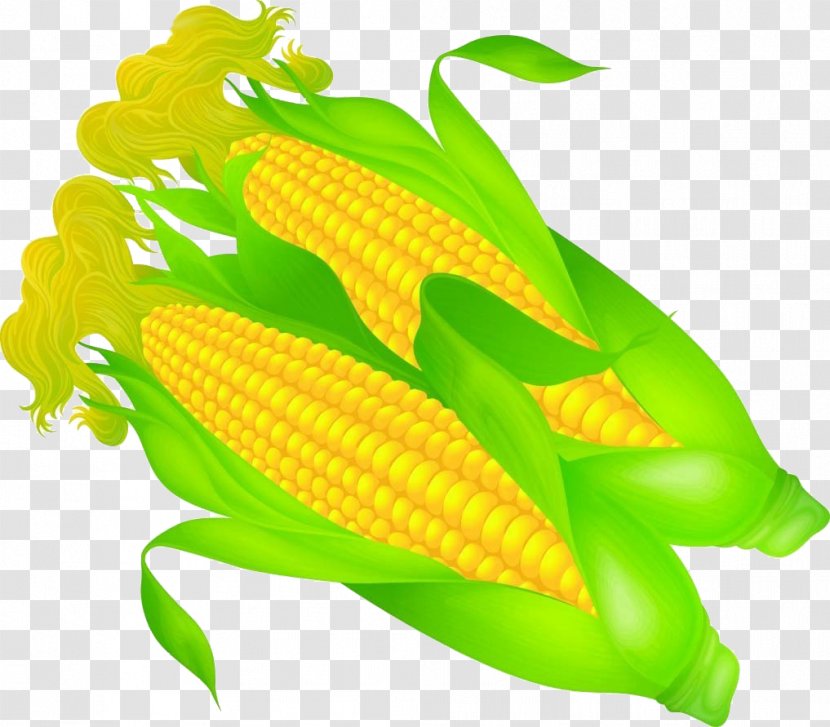 Corn On The Cob Wotou Maize - Vegetable Transparent PNG