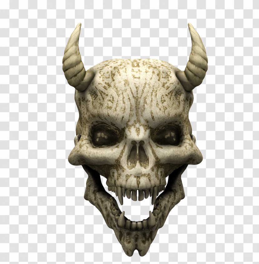 Bone Skull Skeleton - Human - Demon Transparent PNG