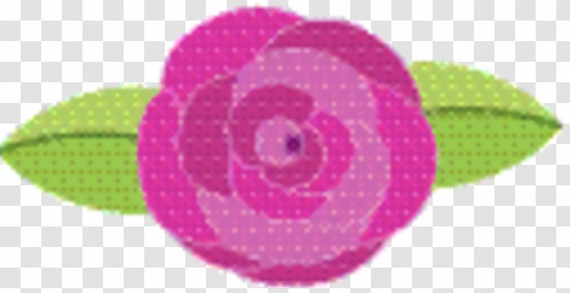 Pink Circle - Purple Magenta Transparent PNG