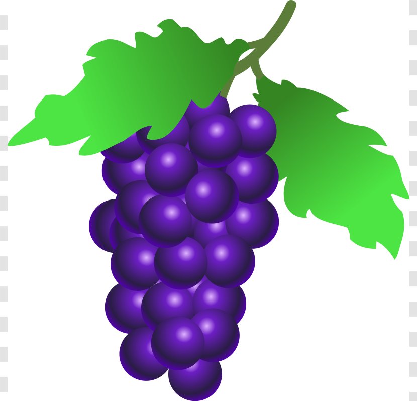 Common Grape Vine Grappa Wine Juice Clip Art - Fruits Picture Transparent PNG