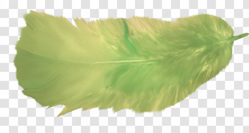 Green Feather Flight Image - Fountain Pen Transparent PNG