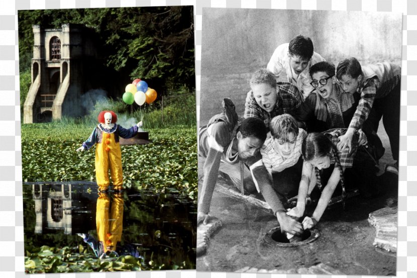 It Horror Film Clown Derry - Tree - Stephen King Transparent PNG