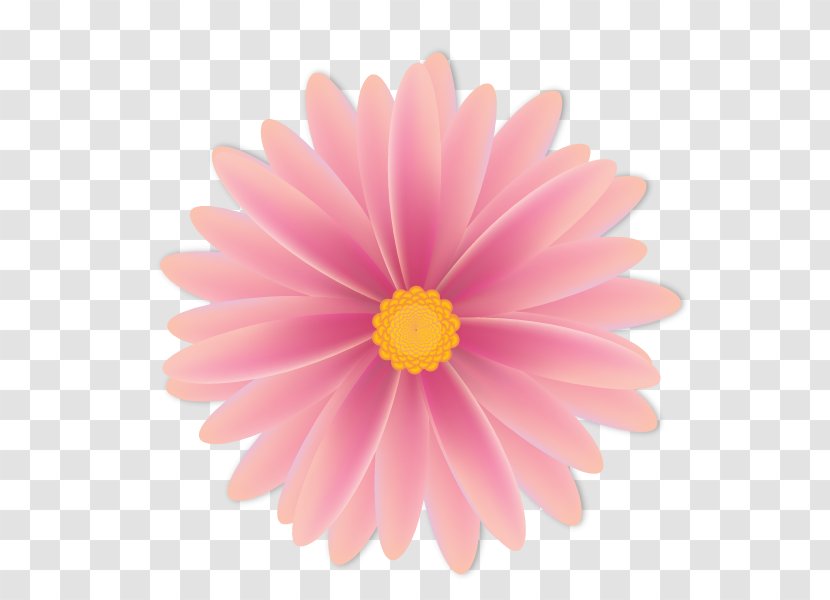 Stock Photography - Flowers Watermark Transparent PNG