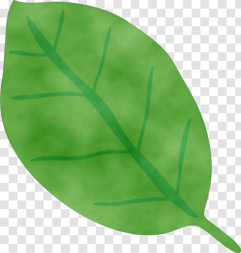 Leaf Green Biology Plant Structure Plants Transparent PNG