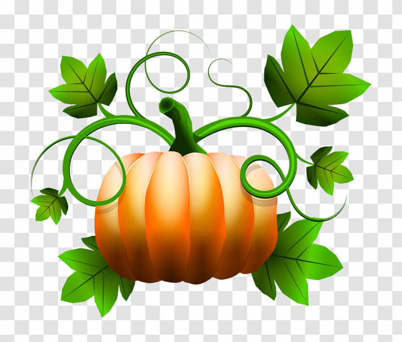 Pumpkin Transparent PNG