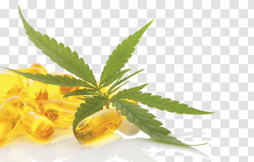 Hemp Cannabidiol Legality Of Cannabis By U.S. Jurisdiction Medicine - Ingestion Transparent PNG