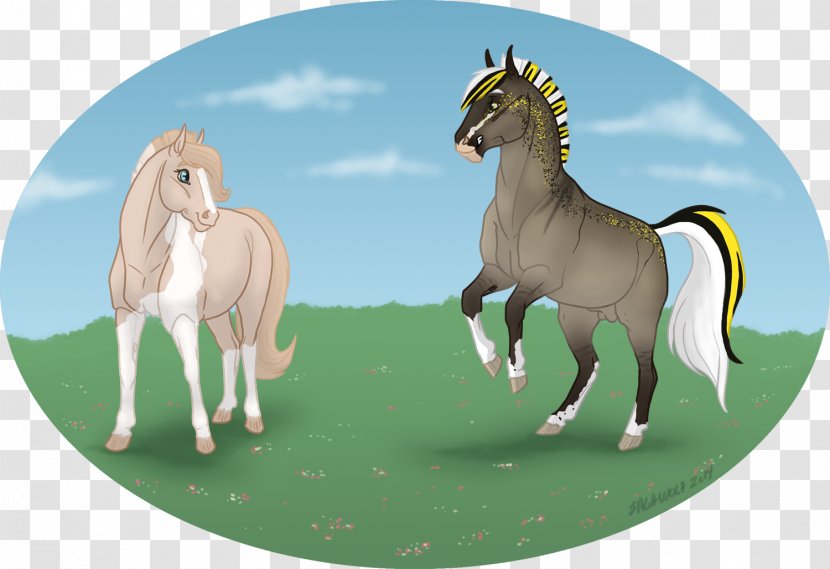 Mustang Foal Stallion Colt Pony - Play Time Transparent PNG